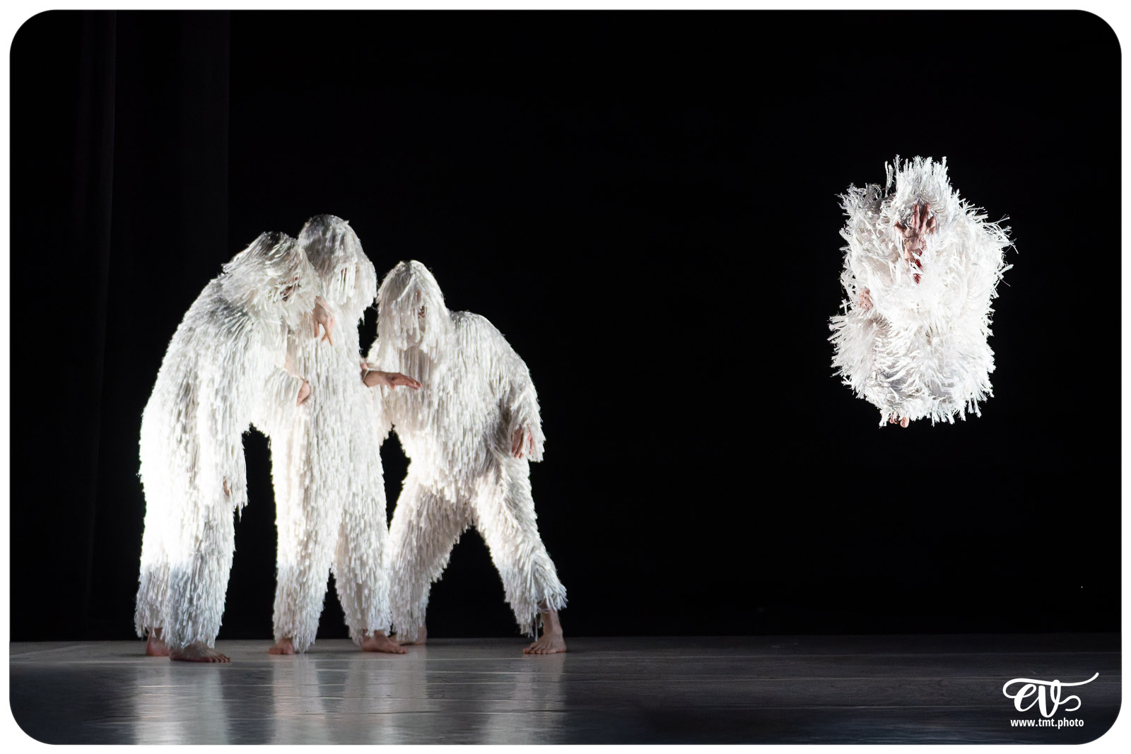 A4 (COMME LA FEUILLE) CIE CHICOS MAMBO